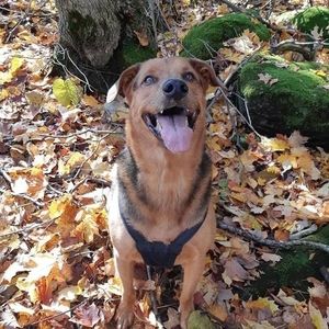 Meet your Posher, Angie